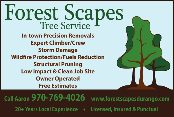 Forest Scapes