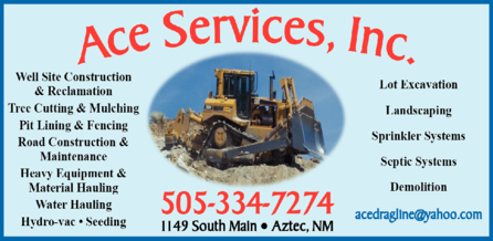 Ace Services