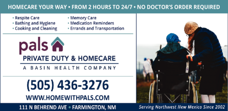 Partners Assisted Living Services