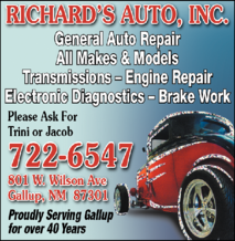 Richard's Auto Inc.