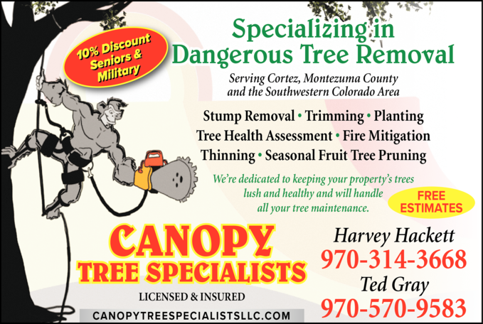 Canopy Tree Specialists
