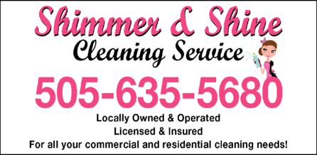 Shimmer & Shine Cleaning Service