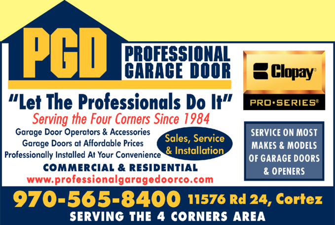 Professional Garage Door