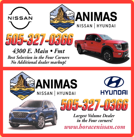 Animas Nissan Hyundai