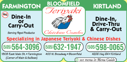 Teriyaki Chicken Combo