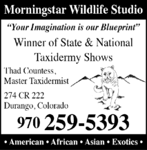 Morningstar Wildlife Studio