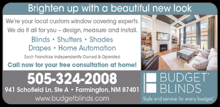 Budget Blinds