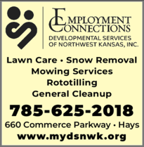 Employment Connections - DSNWK