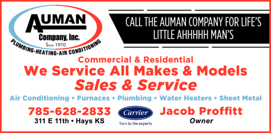 Auman Co Inc